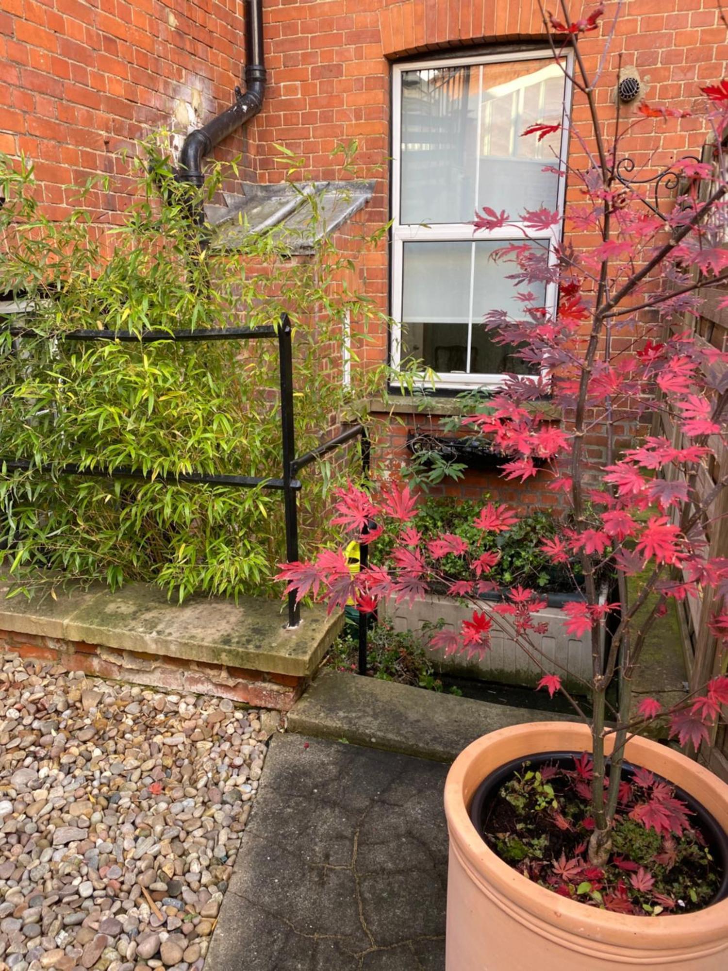 Deluxe Three Bed Bnb In Henley-On-Thames Near Station River & Town Centre 외부 사진